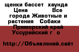 щенки бассет- хаунда › Цена ­ 20 000 - Все города Животные и растения » Собаки   . Приморский край,Уссурийский г. о. 